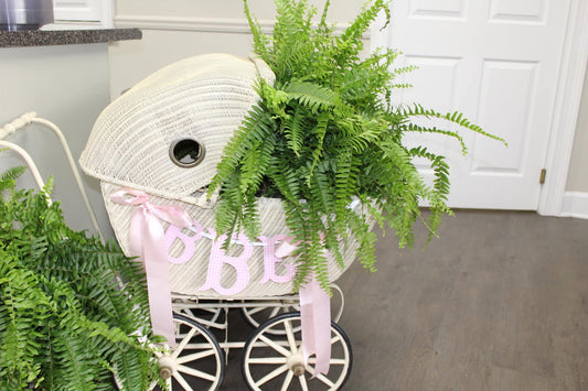 Embroidered Baby Fishtail Initials