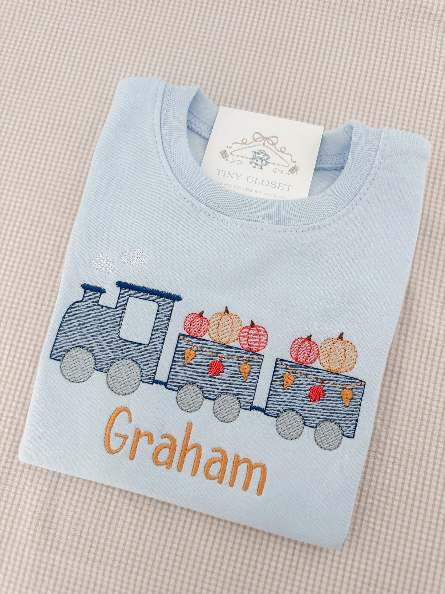 Embroidered Fall Pumpkin Train T-Shirt